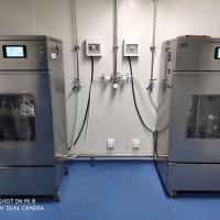 Beijing Strong Biotechnologies, Inc.