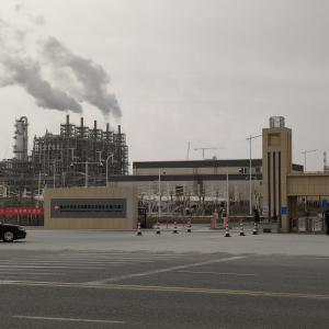 Dushanzi Petrochemical